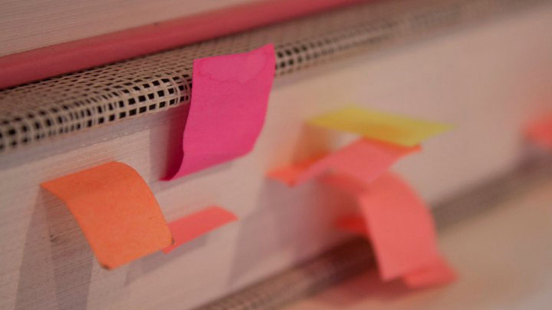 ALE & NAT - FRAMES SITE  (38).jpg